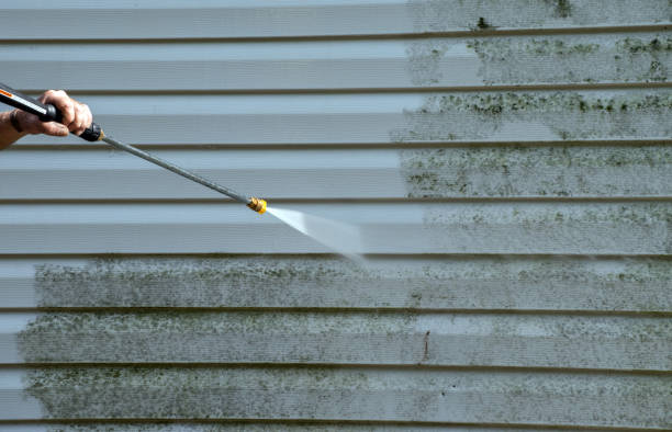 Best Commercial Mold Removal  in Lake Forest Park, WA