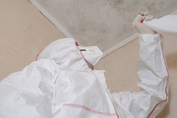 Water Damage Restoration in Lake Forest Park, WA